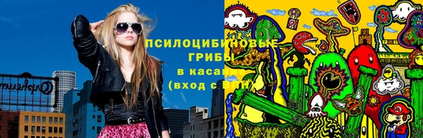 марки lsd Богородицк